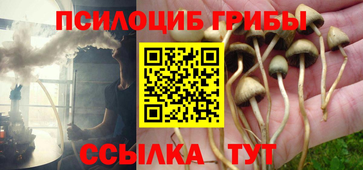 Псилоцибиновые грибы GOLDEN TEACHER Туймазы