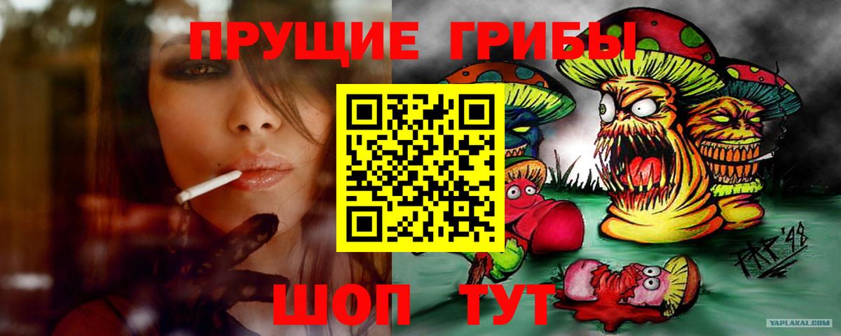 Галлюциногенные грибы прущие грибы  Псилоцибиновые грибы Cubensis  Вход с VPN  Туймазы 